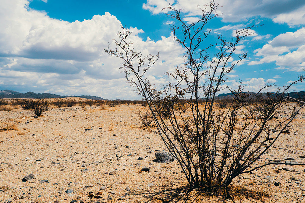 The Hidden Effects of Dehydration on Skin, Hair, and Aging