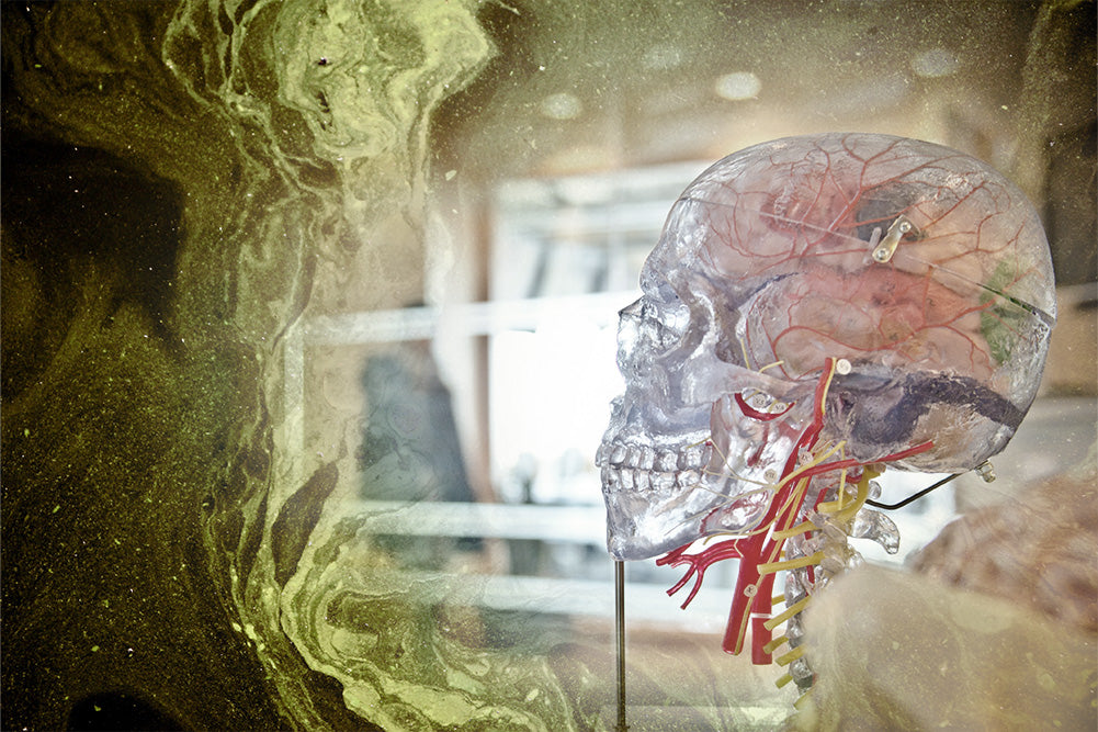 This is what drinking radioactive water will do to your body