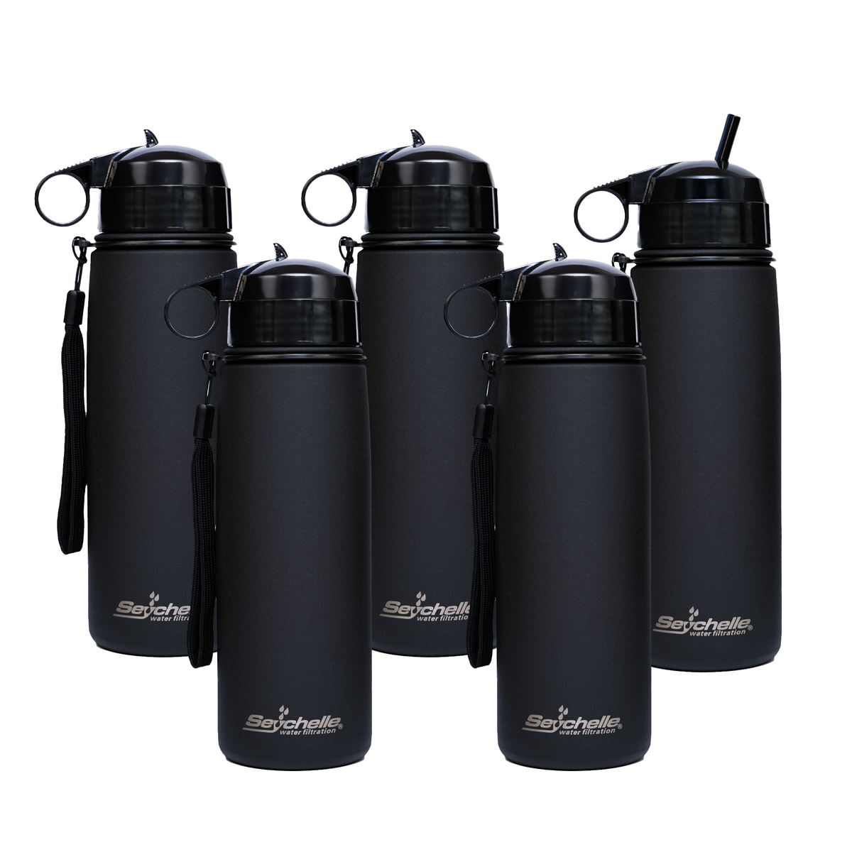Stainless Steel Travel Bottle with Straw Lid - 5 Pack Bundle