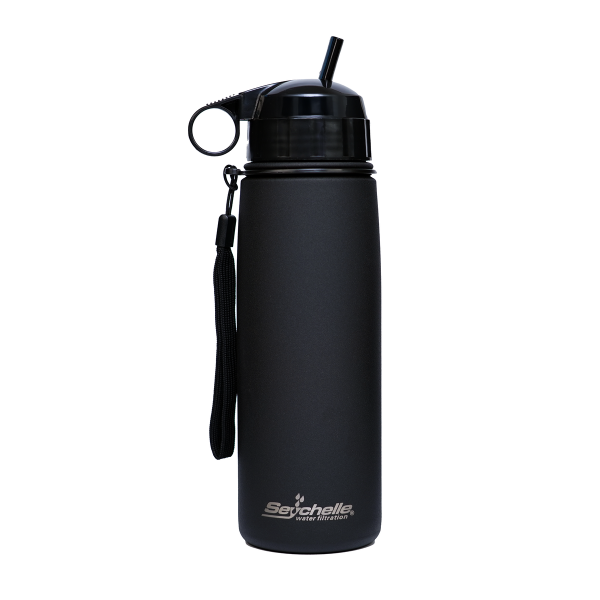 Stainless Steel Travel Bottle with Straw Lid