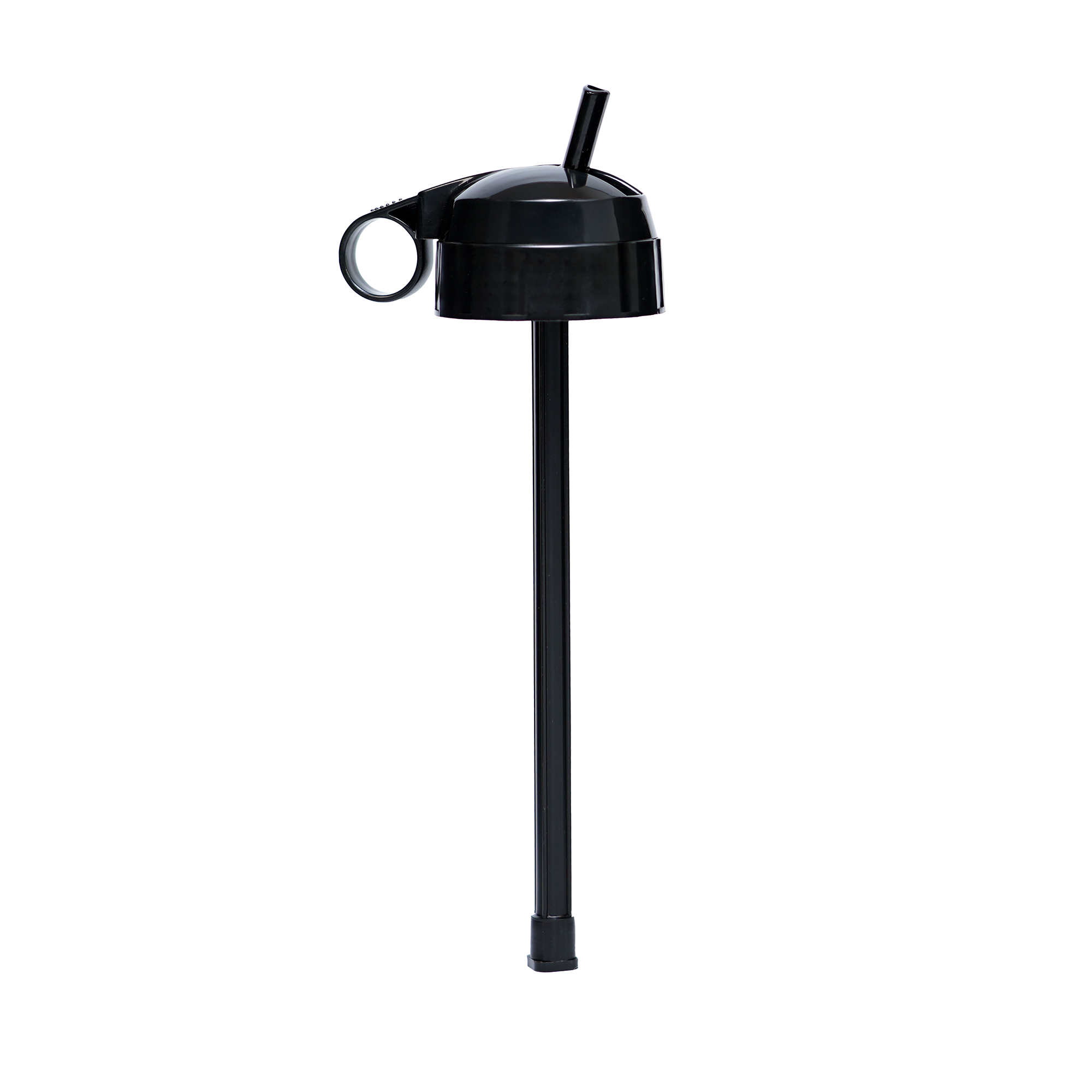 Stainless Steel Travel Bottle with Straw Lid
